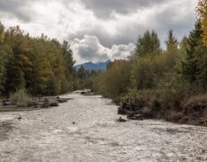 DungRiver02