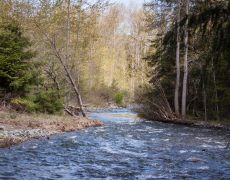 DungRiver03
