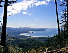 Pacific Coastline from 1,300 ft Bahokus Peak