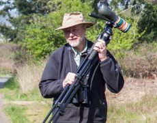 Bob Boekelheide