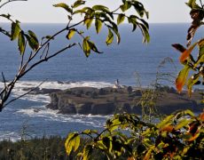 Tatoosh Island