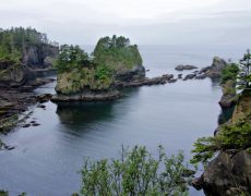 A cove at Cape Flattery